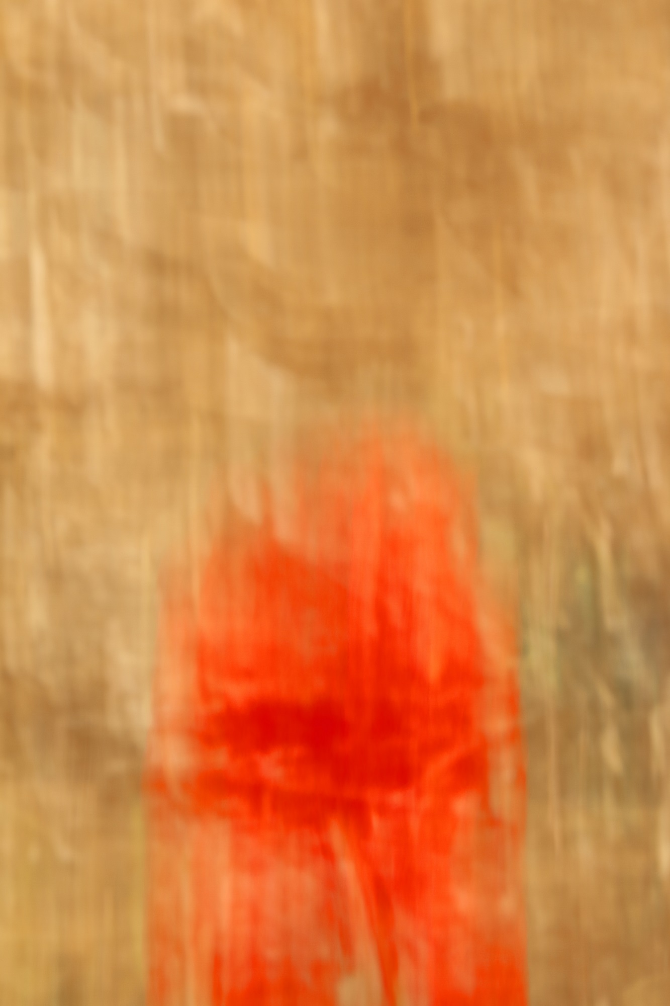 Kunst in der Scheune III — Bild 11