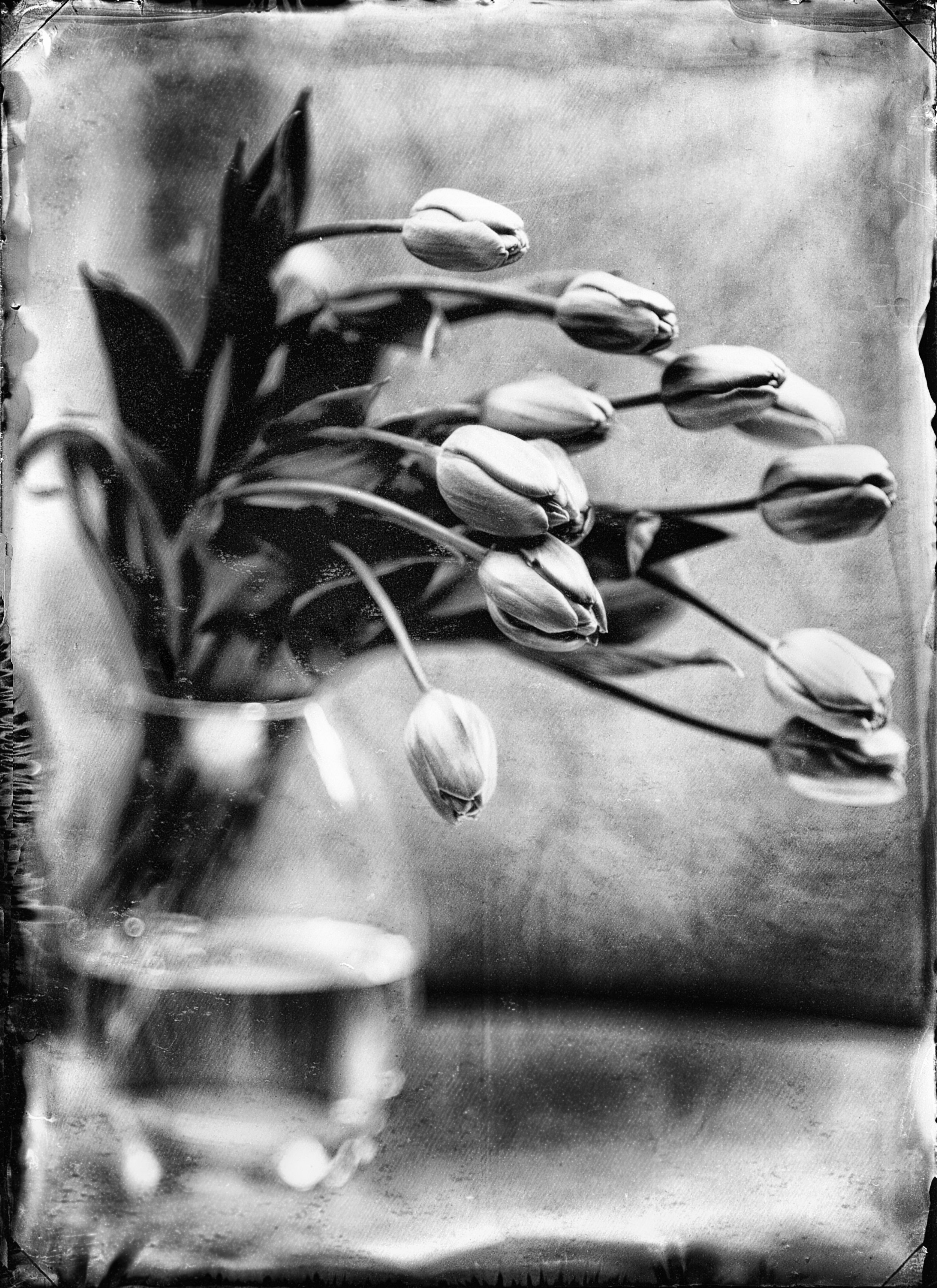 Steffen Diemer